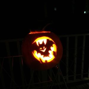 Meet your Posher, Jessie